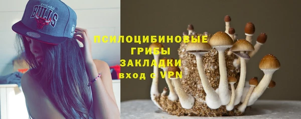 МДПВ Рославль