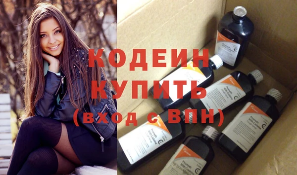 крисы Алагир